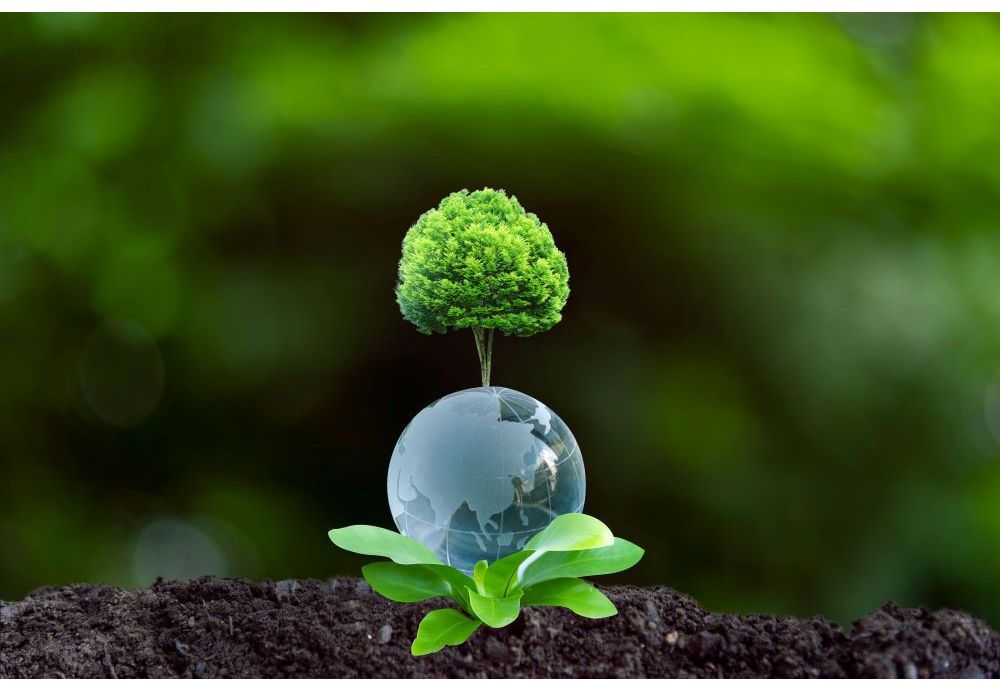 Sprijin pentru căldura regenerabilă: impactul cazanelor pe biomasă asupra emisiilor de CO₂